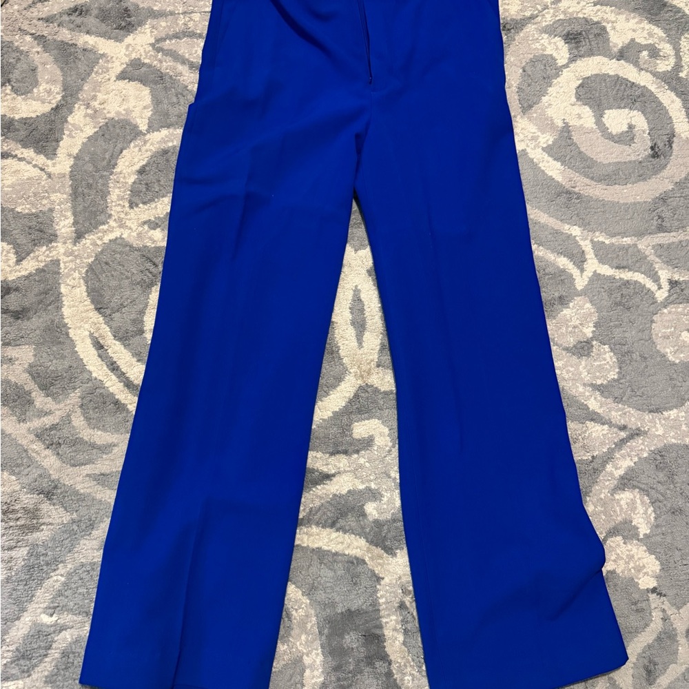 Zara Blue Women's Pants